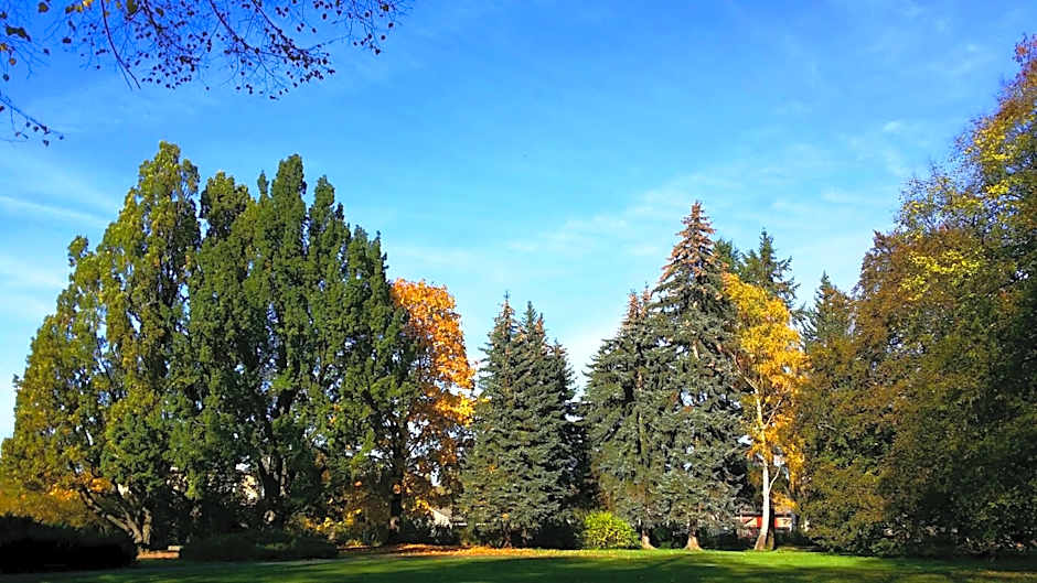 Zámek Světlá nad Sázavou