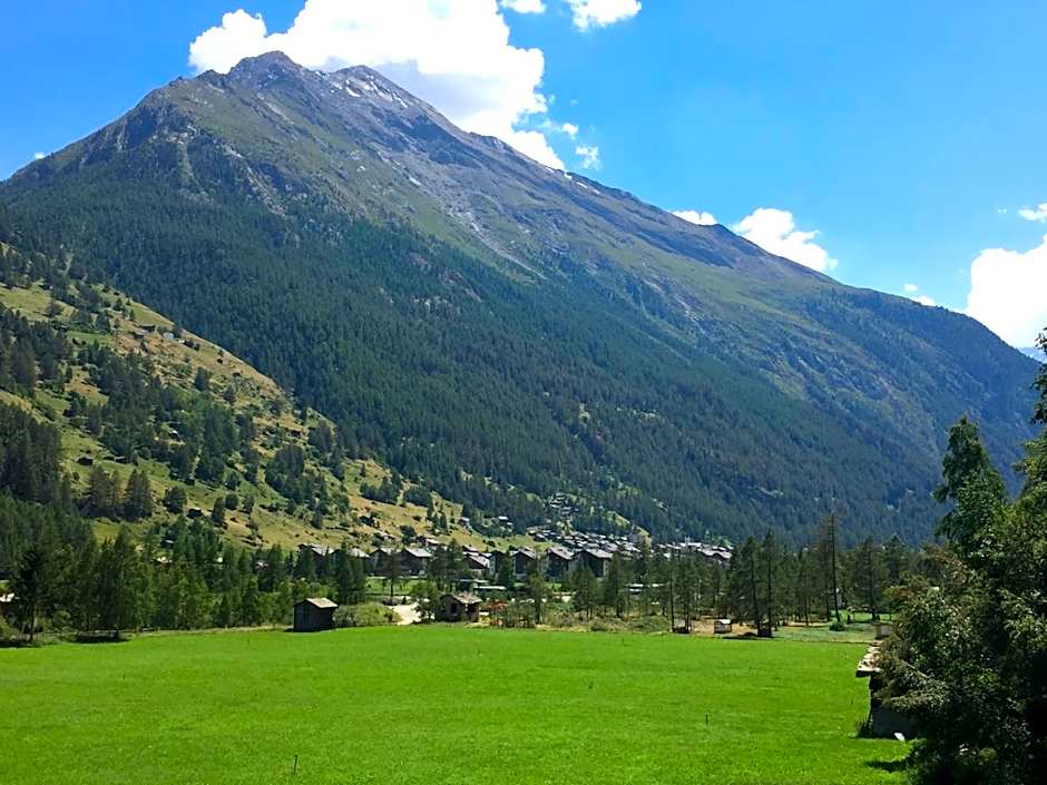 Monte Rosa D 412