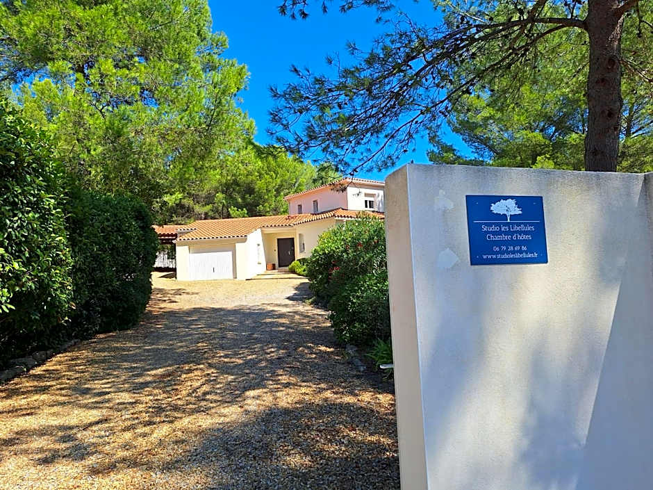 Studio Les Libellules – Castelnau le Lez, FL