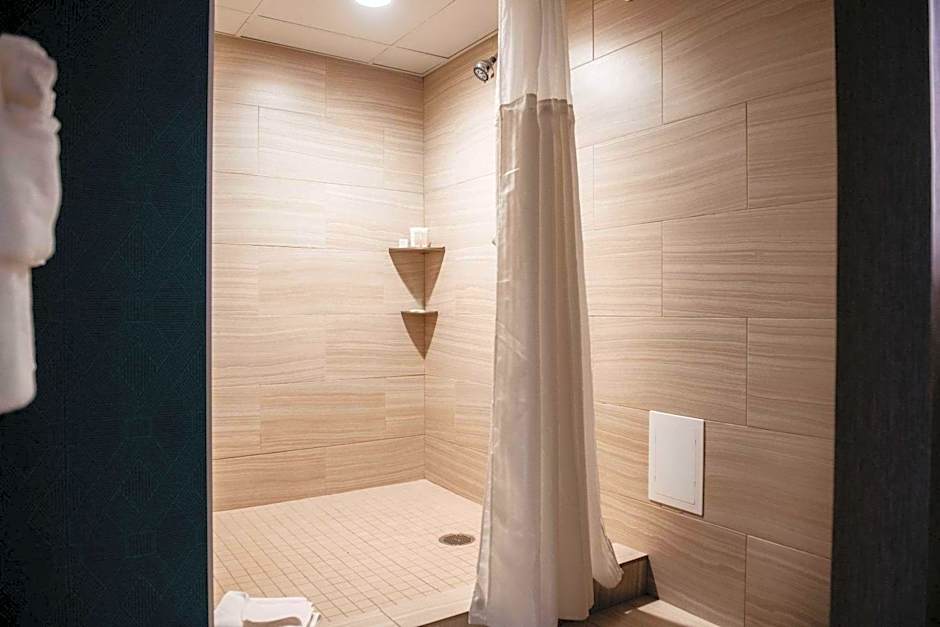 Radisson Hotel St Paul Downtown