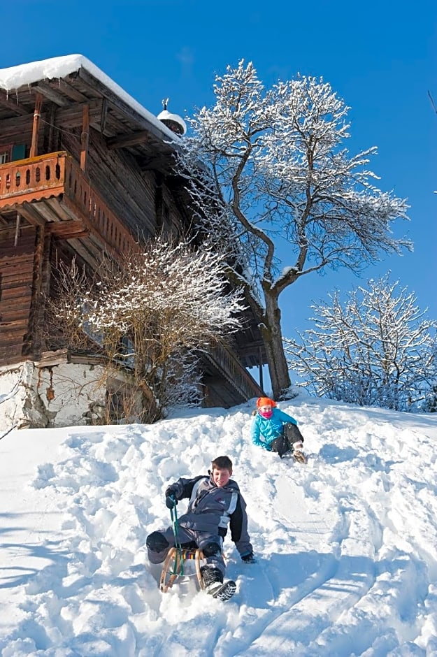 Vordersattlegghofhütte