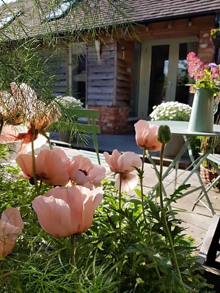 The Dorm Bed and Breakfast