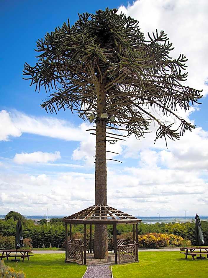 Springfield Hotel & Restaurant