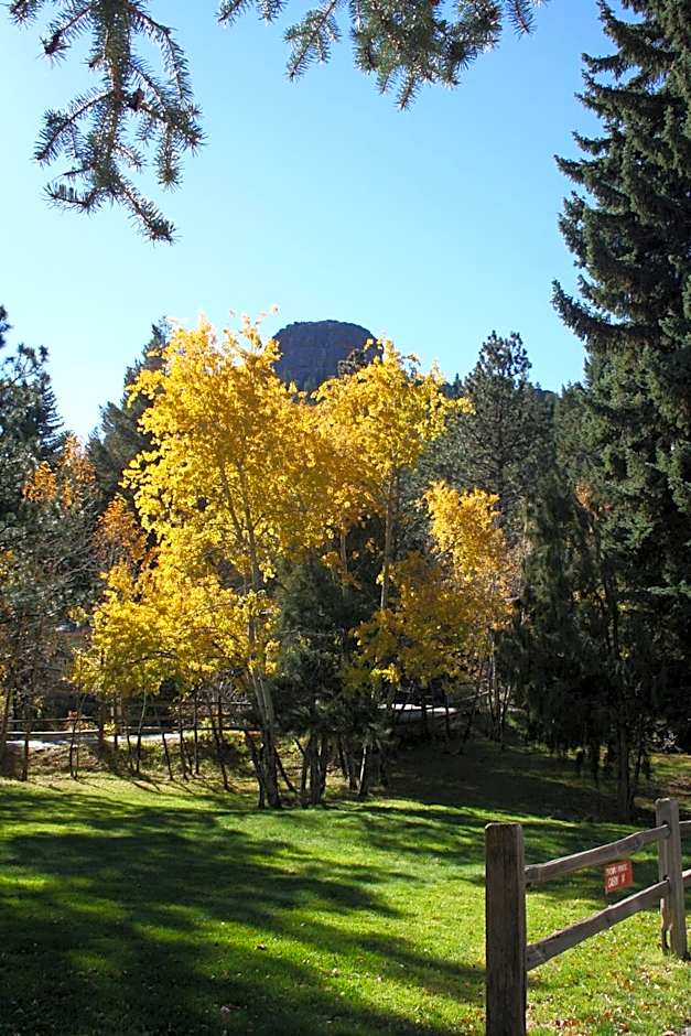 Streamside on Fall River