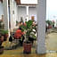 Hotel Aitana Oaxaca