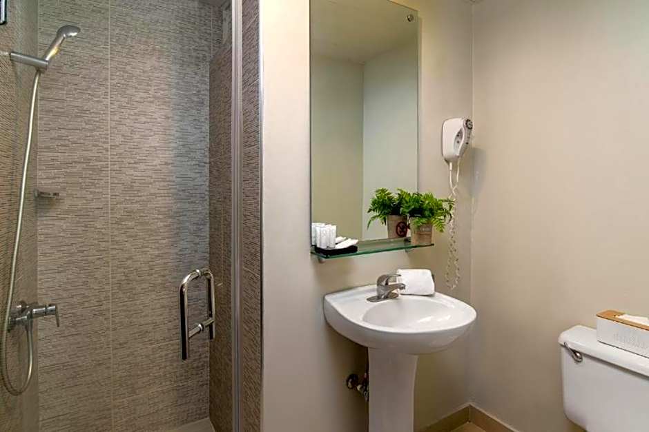 Hodelpa Caribe Colonial