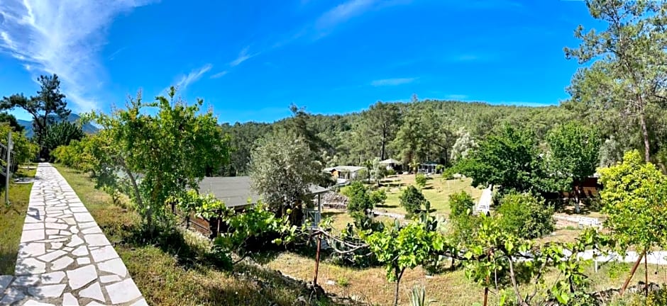 Olympos Angels Garden