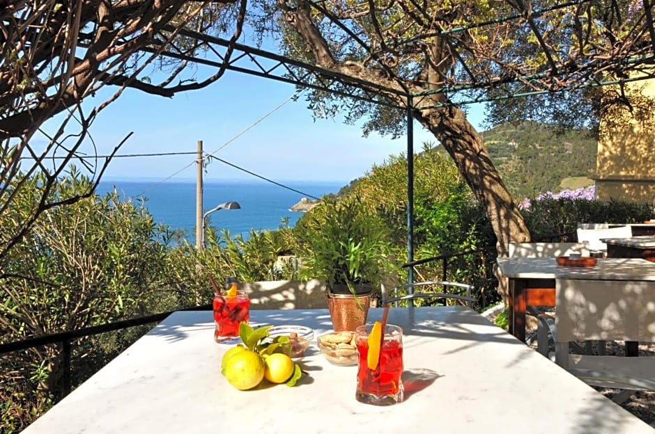 Hotel Villa Belvedere