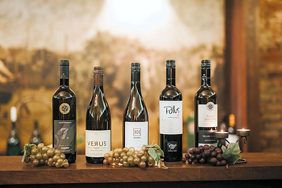 Hotel Mitra, Story Hotels