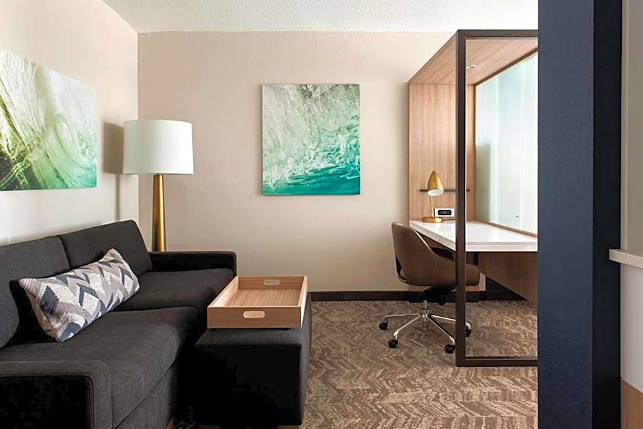 SpringHill Suites by Marriott Tampa Suncoast Parkway