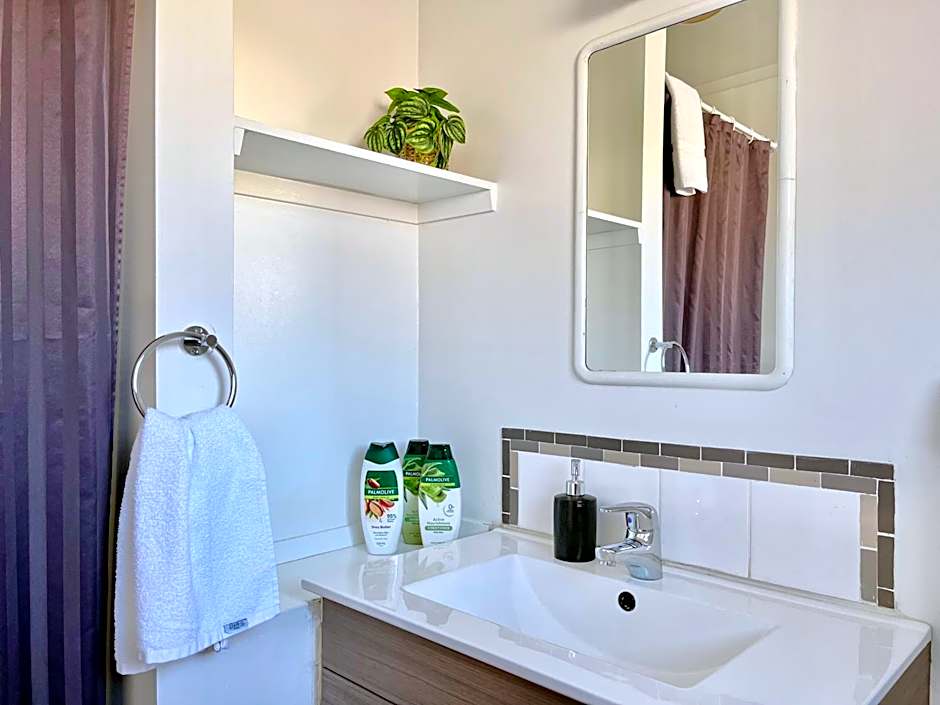 Mt Dobson Motel