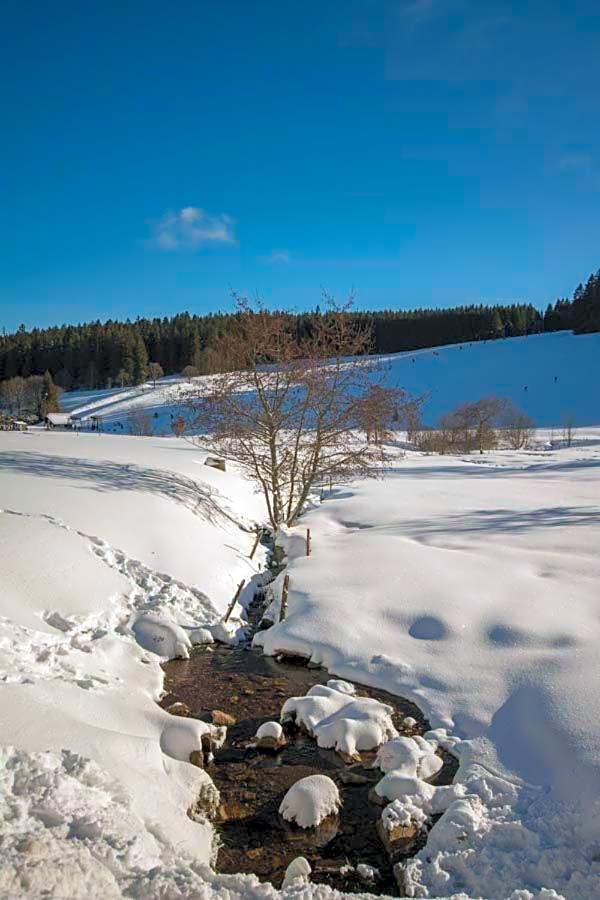 Hotel Adlerschanze
