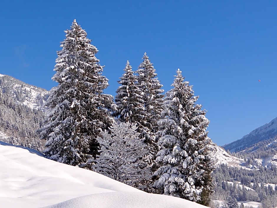 Hotel Garni Malerwinkl