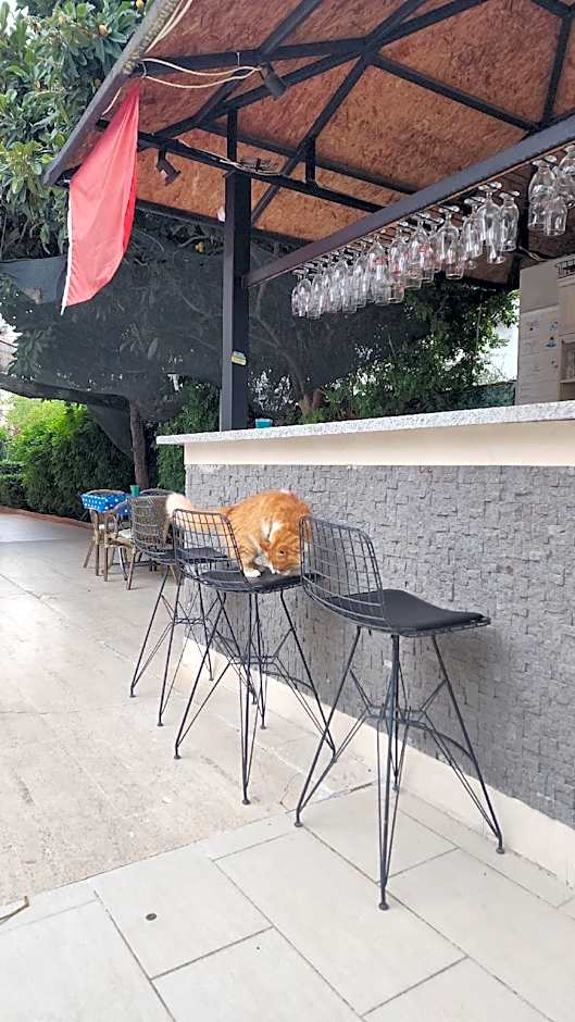 ANTALYA KONYAALTI GUNDUZ OTEL