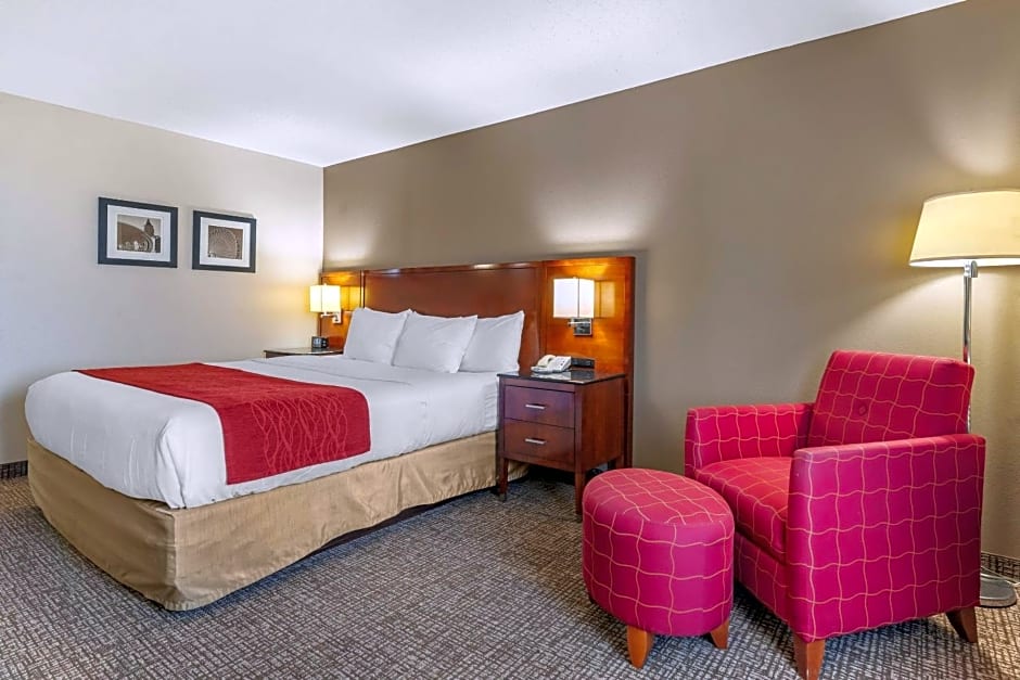 Comfort Inn & Suites Geneva- West Chicago