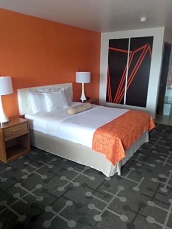Queen Room - Disability Access/Non-Smoking