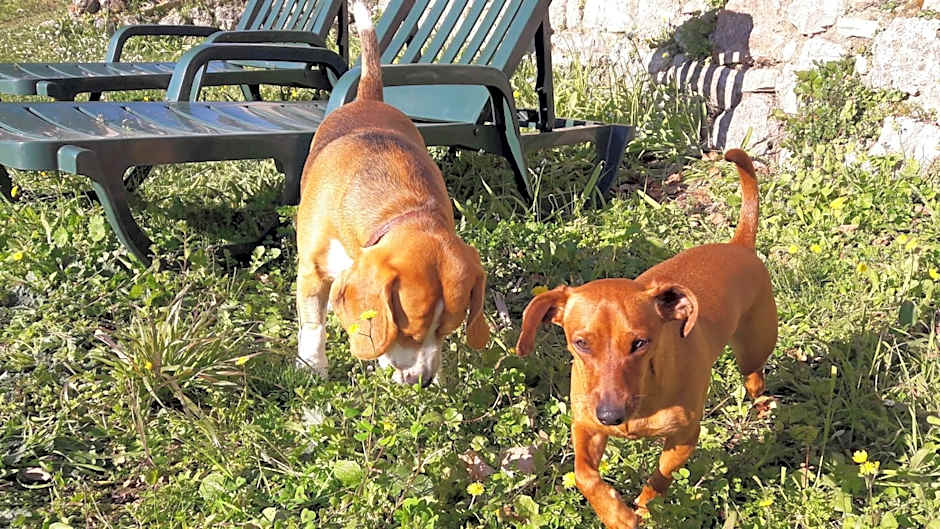 Holidays In Provence Alpes Maritimes