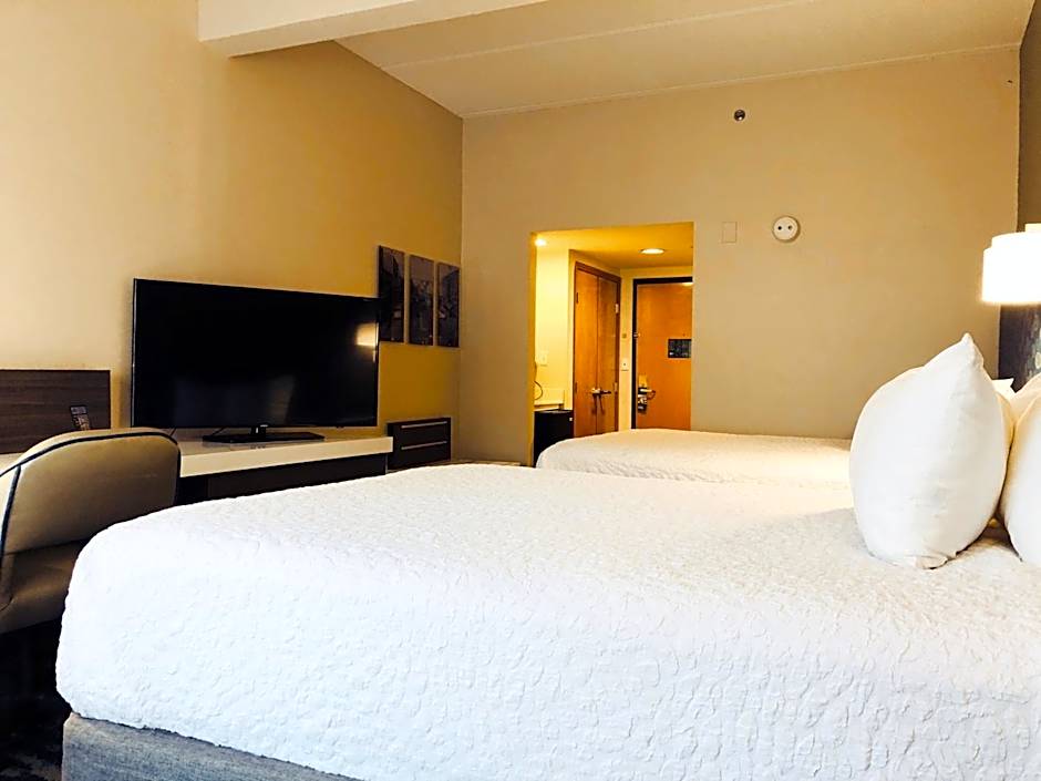 Comfort Inn & Suites Greenville Near Convention Center