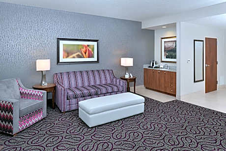 1 King Bed 1 Bedroom Suite Living Area-comp Wifi- Hdtv W/hidef Channels Refrigerator-microwave-pod C