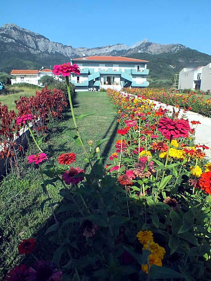 Zeus Apartments