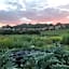 Healing Waters Sanctuary, Peaceful Retreat House, Glastonbury