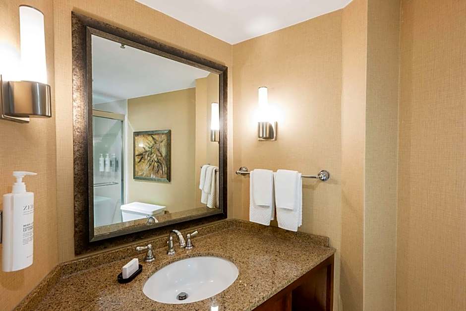 Embassy Suites by Hilton Bloomington / Minneapolis