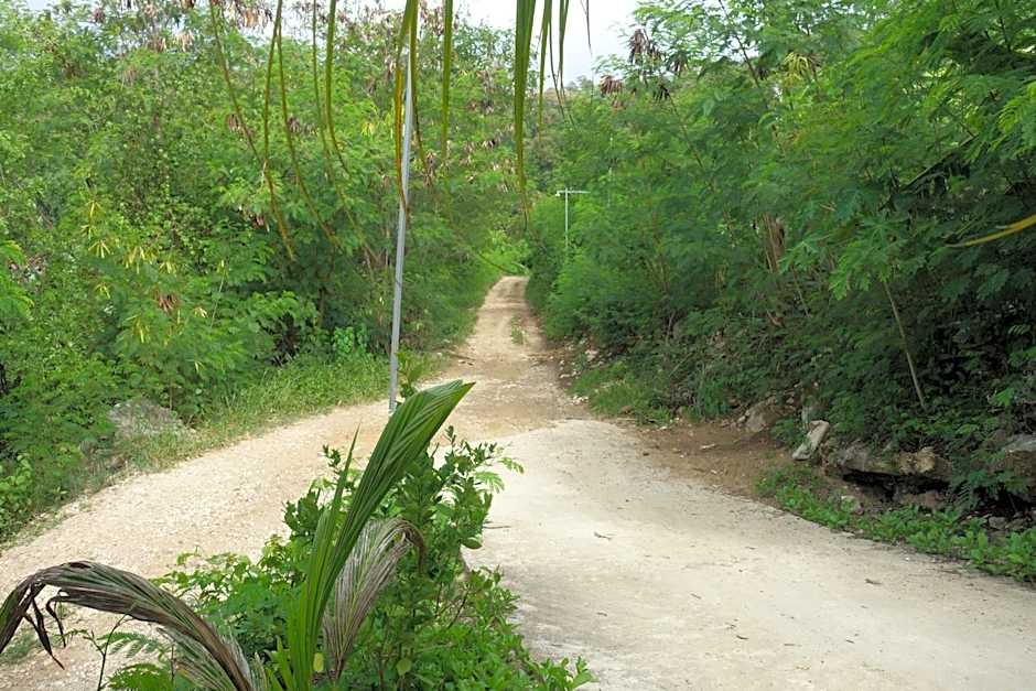 Tarsan Homestay