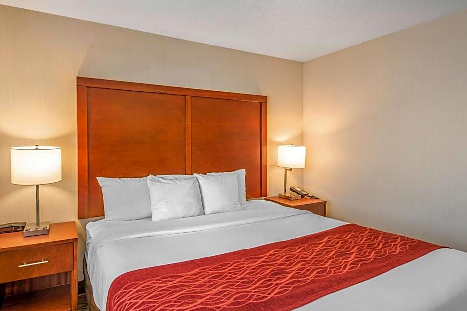 Comfort Inn Mount Shasta Area