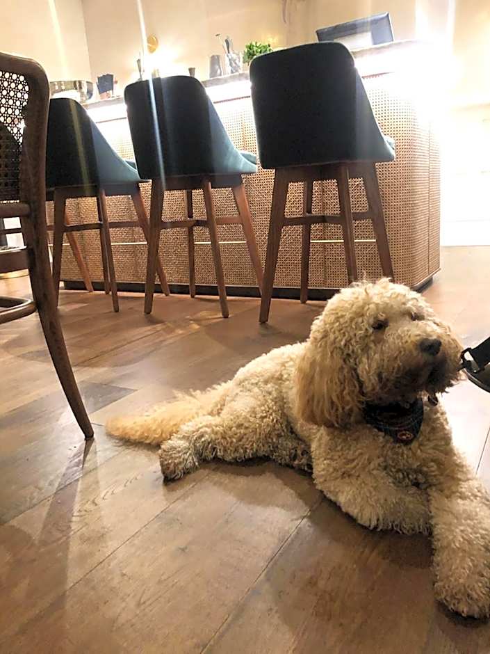 The Roseate Villa Bath