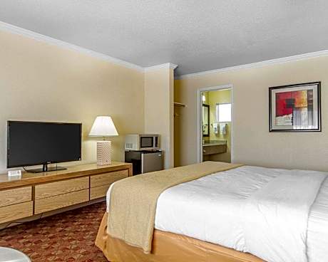 1 King Bed, Nonsmoking