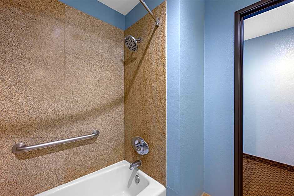 Best Western South Plains Inn & Suites