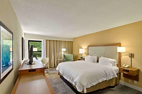 1 King Bed Nonsmoking