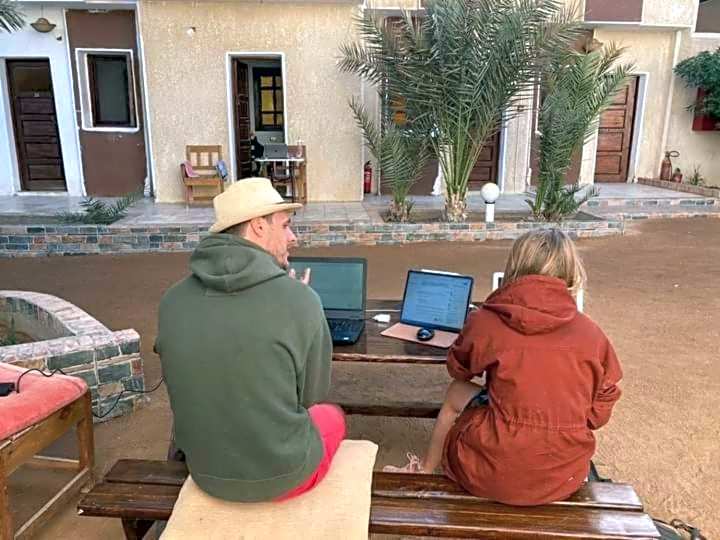 Oasis Fighting Kangaroo