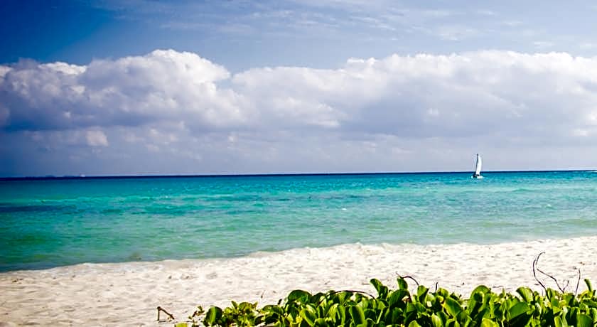 The Reef Playacar Resort & Spa-Optional All Inclusive
