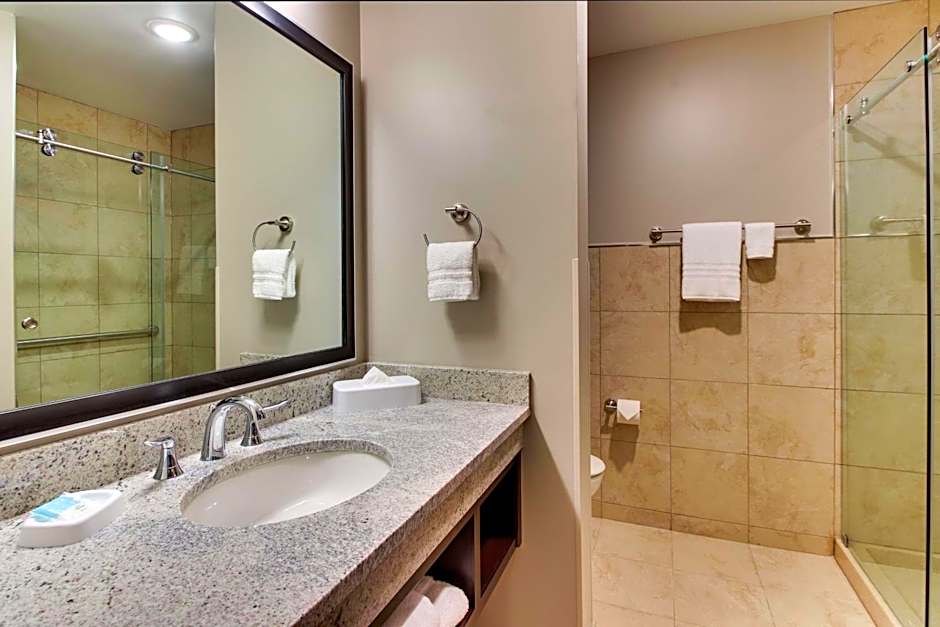 Drury Plaza Hotel Dallas Richardson