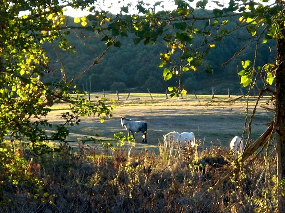 Hotel La Pradera de Marta