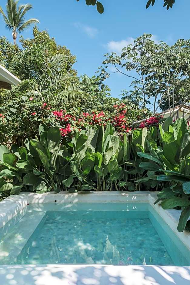 Vila Oyá - Praia de Algodões