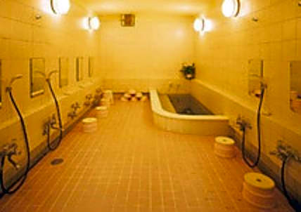 Ryokan Nihonkan Hotel