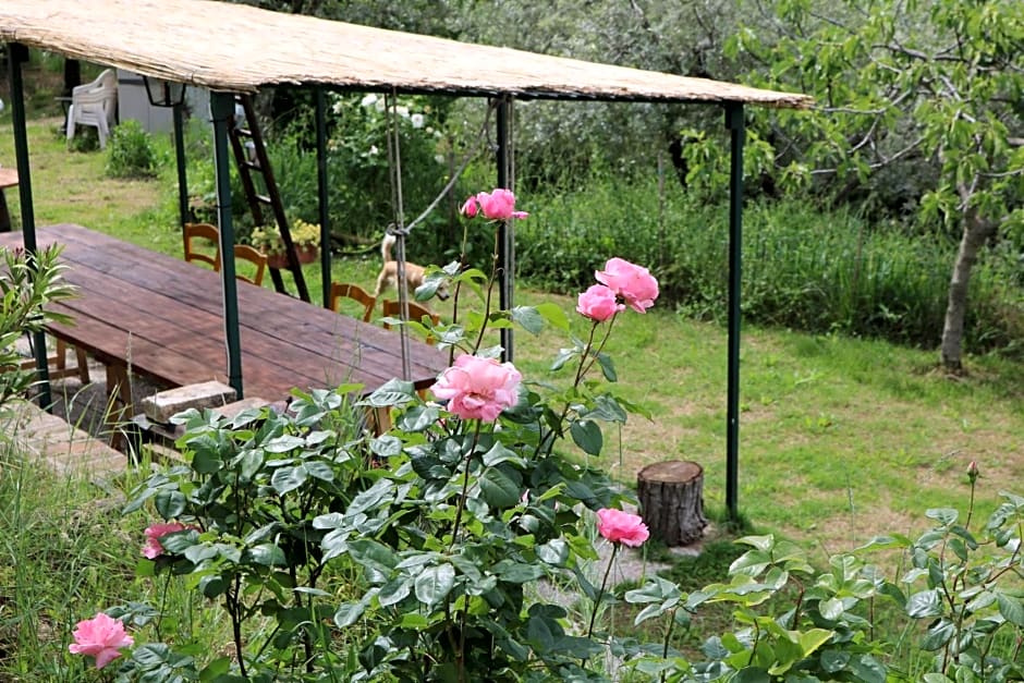 Bed & Breakfast Casa Lisetta