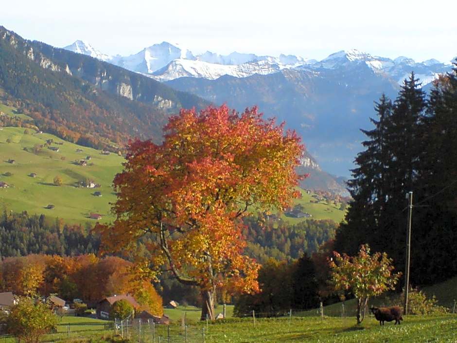 Hotel Rothorn Vintage-Style