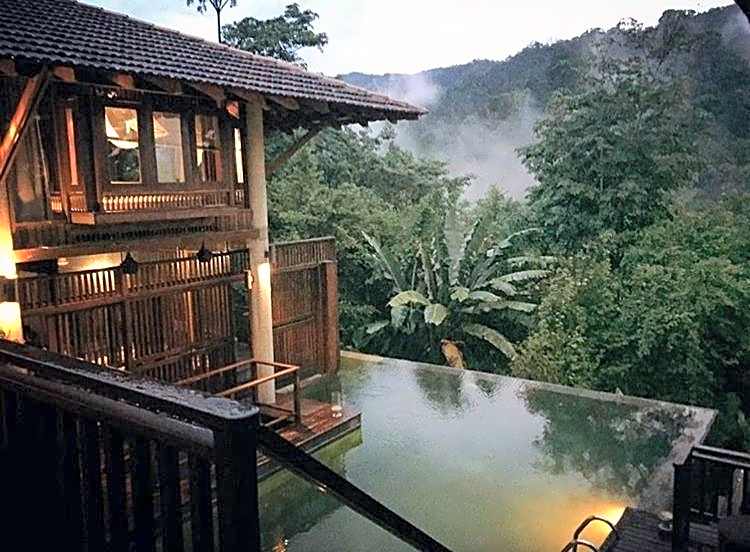 The Shorea