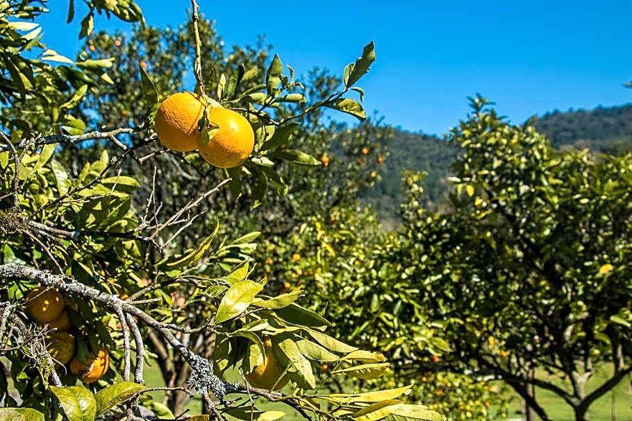 Pousada Villa Romantica