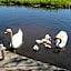 B&B-Edam