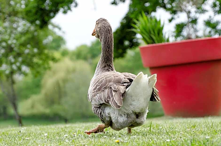 Château de la Motte Beaumanoir