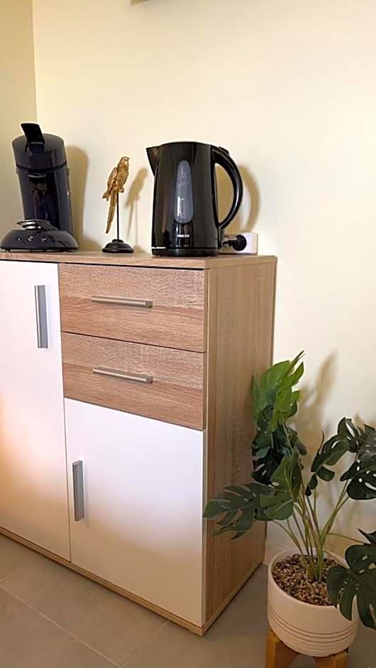 Studio de Célestine