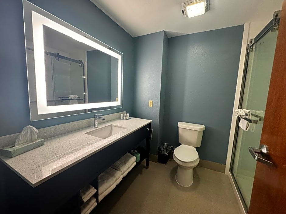 Wingate by Wyndham College Station South