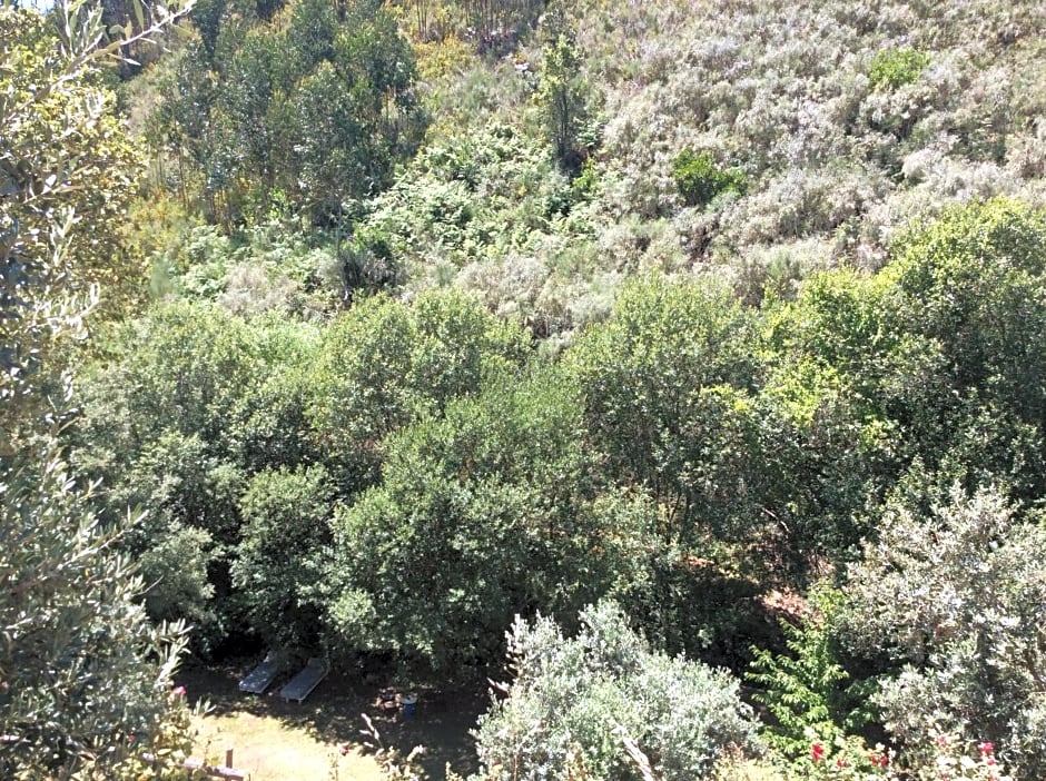 Guest Room Agro-turismo Quinta da Fonte Bed&Breakfast