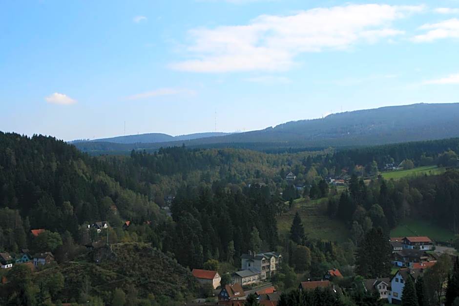 Brockenblick