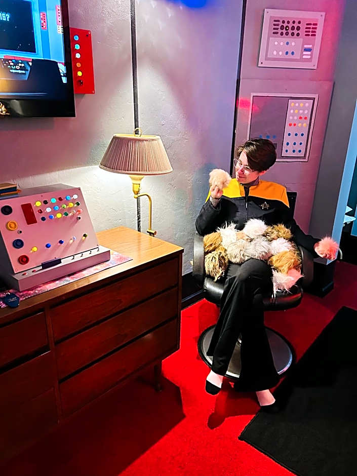 The Star Trek - USS Enterprise Room at the Itty Bitty Inn