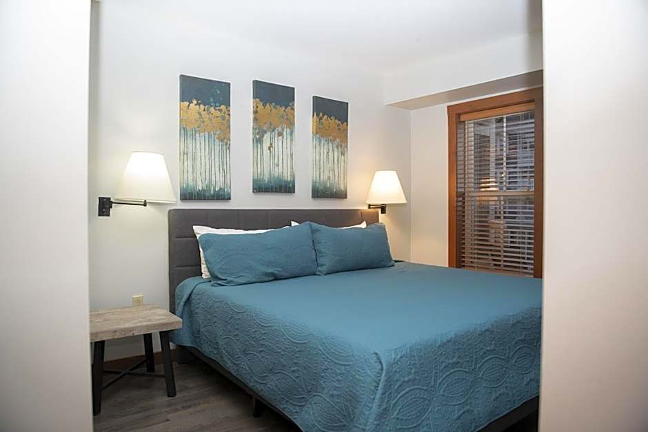 Allegheny Spring 239 KING, bed/Ski-In, Out/Pool & Hot Tub